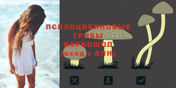 гидропоника Балабаново